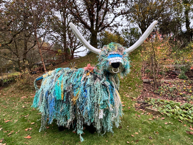 Tarbh Na Muraige - The Flotsam Cow Tarbh Na Muraige - The Flotsam Cow