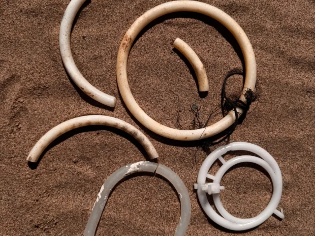 Plastic rings used to make creel entrances