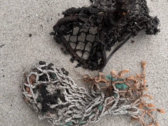 Bags used for storing bait