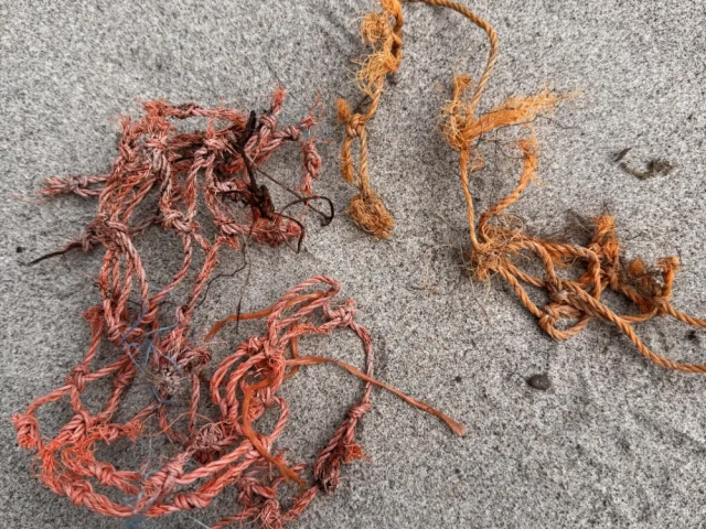 Creel net scraps (plastic)