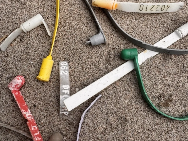 Plastic licence tags issued to creel operators for attaching to creels