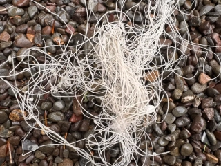 Piece of gill netting