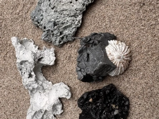 Remains of burned plastic