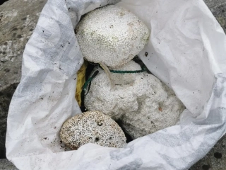 Lumps of Expanded Polystyrene